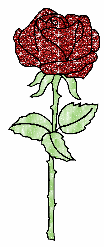 rose de l'amitié