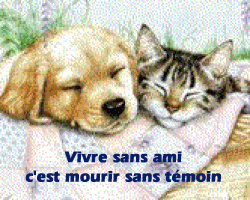 je confirme