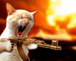 chat mutant !!!!!